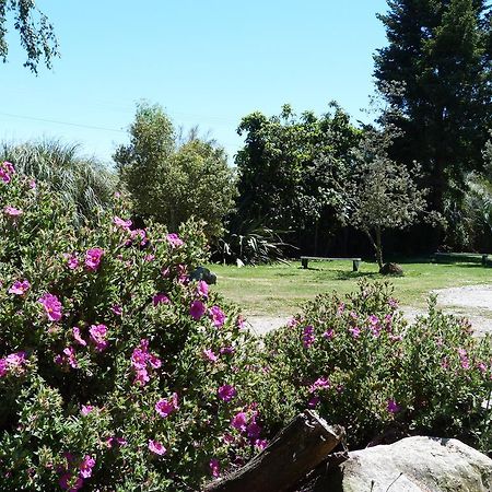 Fernwood Holiday Park Motueka Rom bilde